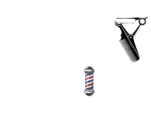 logoWilly'sbbshop